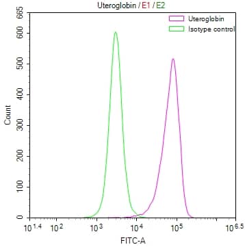 Uteroglobin/SCGB1A1 Antibody (21B2)