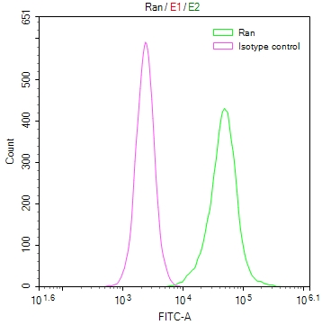 Ran Antibody (15A8)