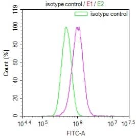 Rab27a Antibody (2E8)