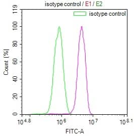 Pentraxin 3/TSG-14 Antibody (10D9)