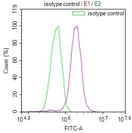 PA28 Activator alpha Subunit/PSME1 Antibody (29D5)