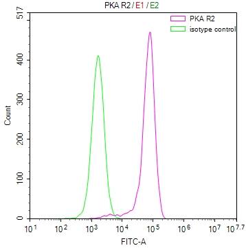 Protein Kinase A Regulatory Subunit II alpha Antibody (15G8)