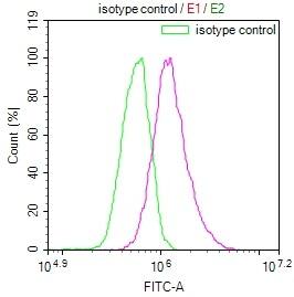 Peroxiredoxin 3 Antibody (14E2)
