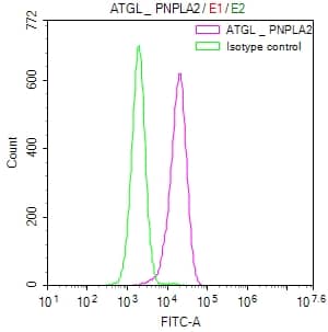 PEDFR/PNPLA2/ATGL Antibody (1H6)