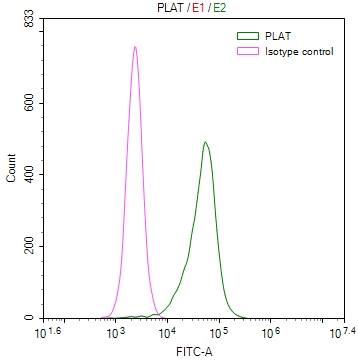 t-Plasminogen Activator/tPA Antibody (32B1)