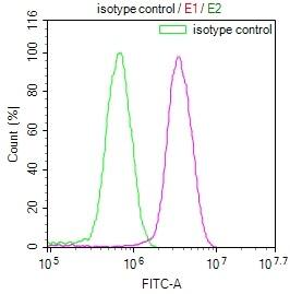 PKN2 Antibody (20A8)