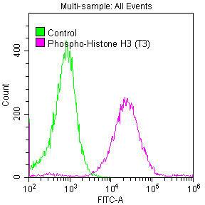 Histone H3.3 [p Thr3] Antibody (28H4)