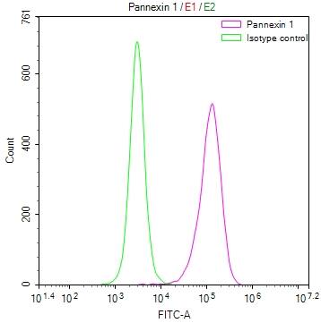 Pannexin-1 Antibody (28G5)