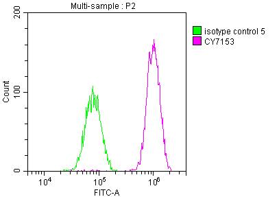PAK2 Antibody (6D12)