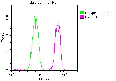 PABPN1 Antibody (6C3)