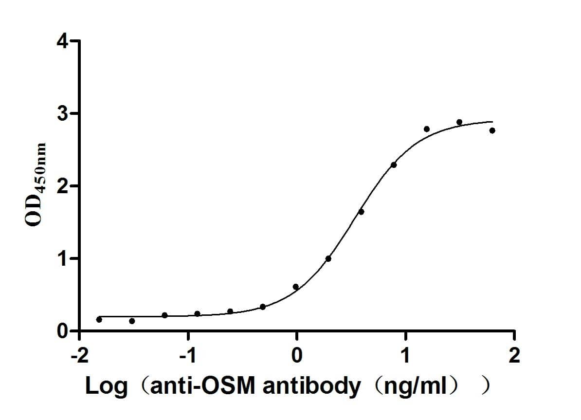 Oncostatin M/OSM Antibody (31E7)