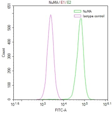 NuMA Antibody (12A11)