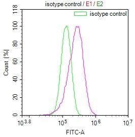 ADP-Sugar Pyrophosphatase/NUDT5 Antibody (10D2)