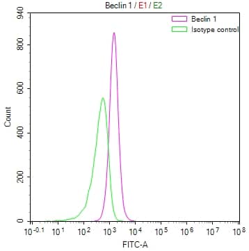 Beclin 1 Antibody (22F4)