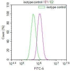 BCAP31 Antibody (12G12)