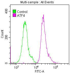 ATF4 Antibody (9E1)