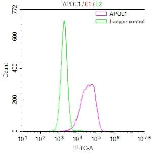 Apolipoprotein L1 Antibody (32H8)