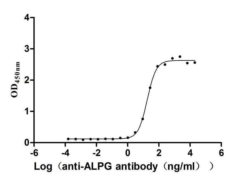 ALPPL2 Antibody (29A5)