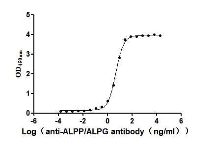 ALPPL2 Antibody (29A5)