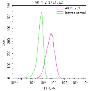 AKT1/2/3 Antibody (16E10)
