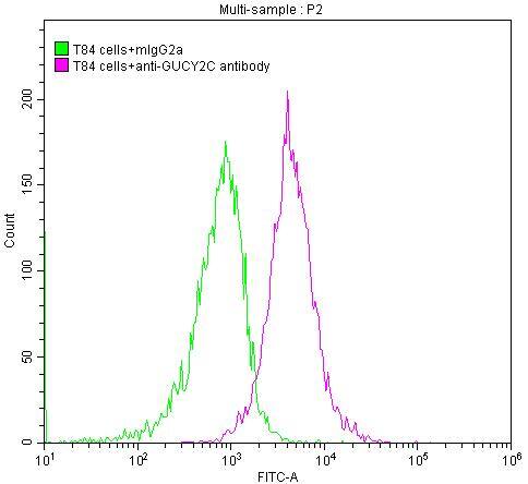 GUCY2C Antibody (4G12)
