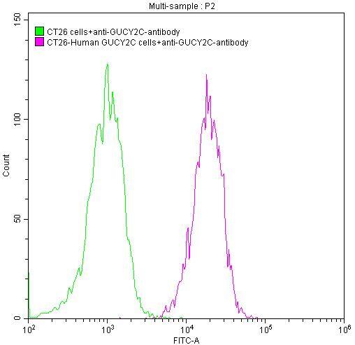 GUCY2C Antibody (4G12)