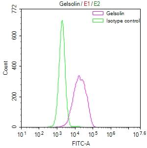 Gelsolin/GSN Antibody (16H9)