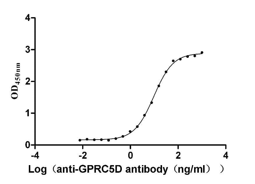 GPRC5D Antibody (3D4)