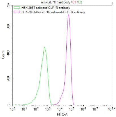 GLP-1R Antibody (7H7)