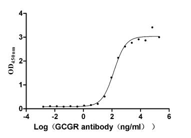 Glucagon R/GCGR Antibody (9G1)