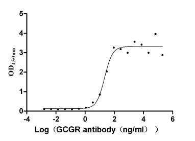 Glucagon R/GCGR Antibody (9G1)