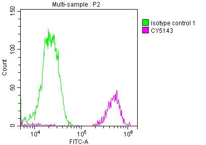 FUBP1 Antibody (7C3)