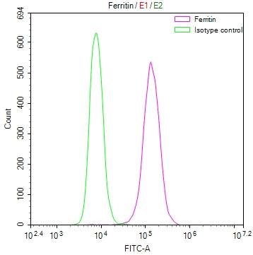 Ferritin Antibody (39G3)