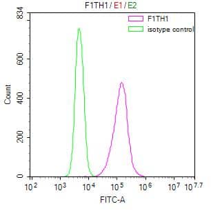 Ferritin Antibody (12H1)