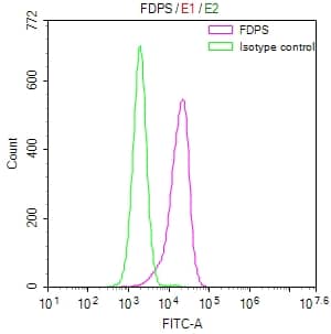 FDPS Antibody (12H4)