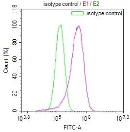 FADS1 Antibody (7A10)