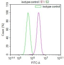 CD39/ENTPD1 Antibody (12D12)