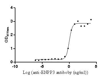 ENPP-3/CD203c Antibody (3B2)