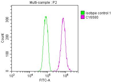 E2F-1 Antibody (1D12)