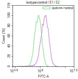 HDJ2 Antibody (23C6)