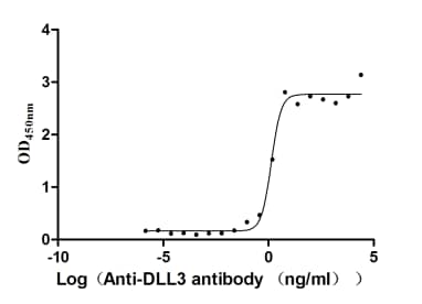 DLL3 Antibody (7B7)