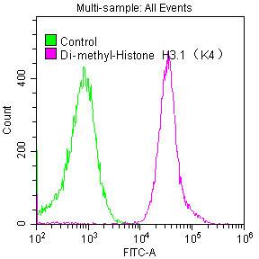 Histone H3.1 [Dimethyl Lys4] Antibody (6F6)