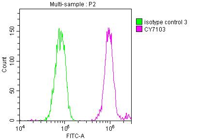 DDX5 Antibody (2C3)
