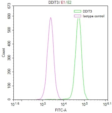 GADD153/CHOP Antibody (17A10)