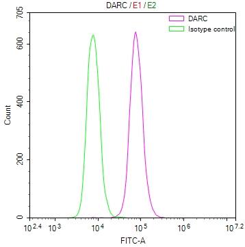 DARC Antibody (18B11)