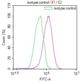 beta Casein Antibody (29D6)