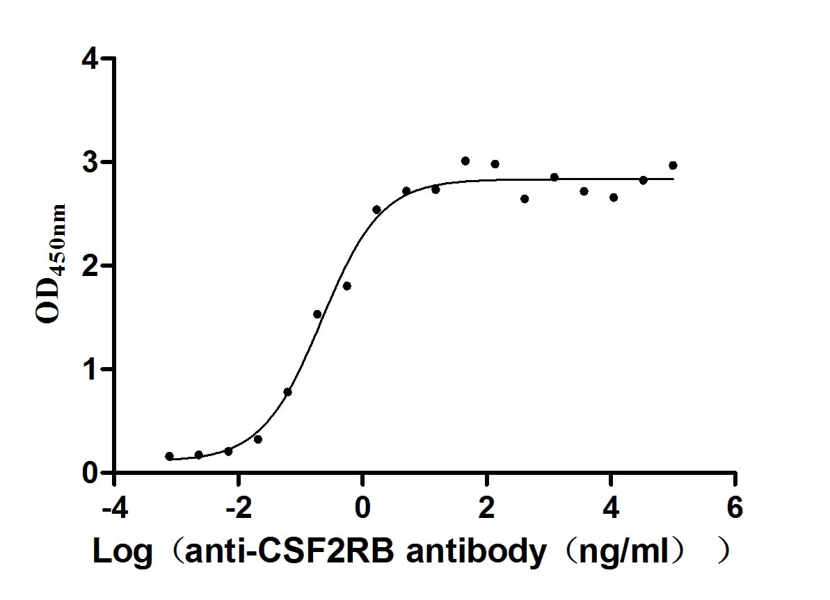 Common beta Chain Antibody (7B6)