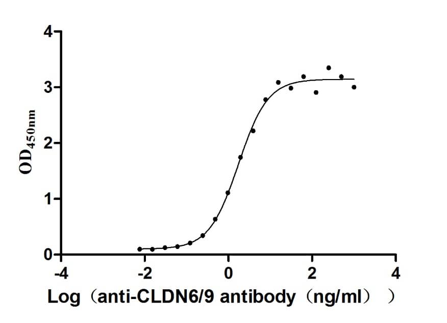 Claudin-6 Antibody (9H8)