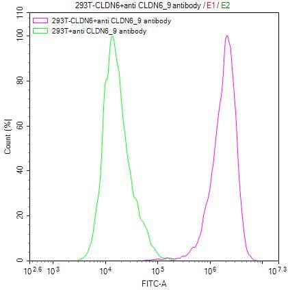 Claudin-6 Antibody (9H8)