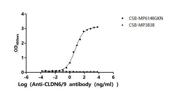 Claudin-6 Antibody (9H8)